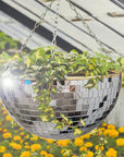 Self Watering Disco Ball Hanging Planter