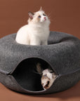 Feline Frolics Elevated: WhiskerWonder Nests, Essential for Cats.